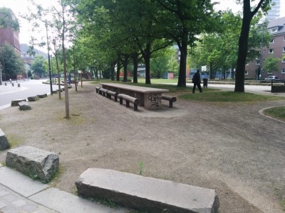 park1.jpg