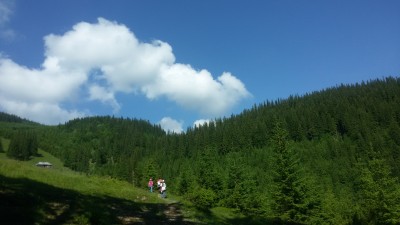 20180609_101201.jpg